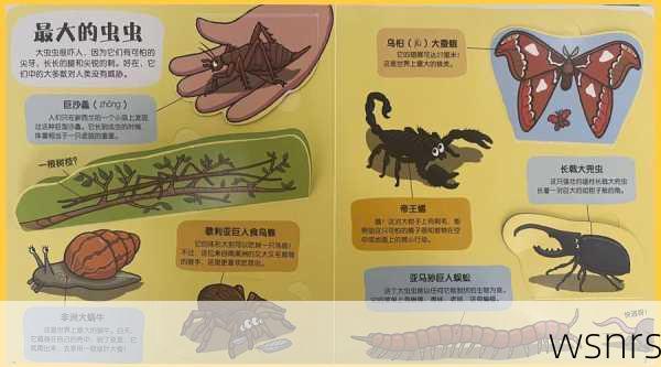 探寻2.8版本的发布日期,一场版本更迭的小小探险